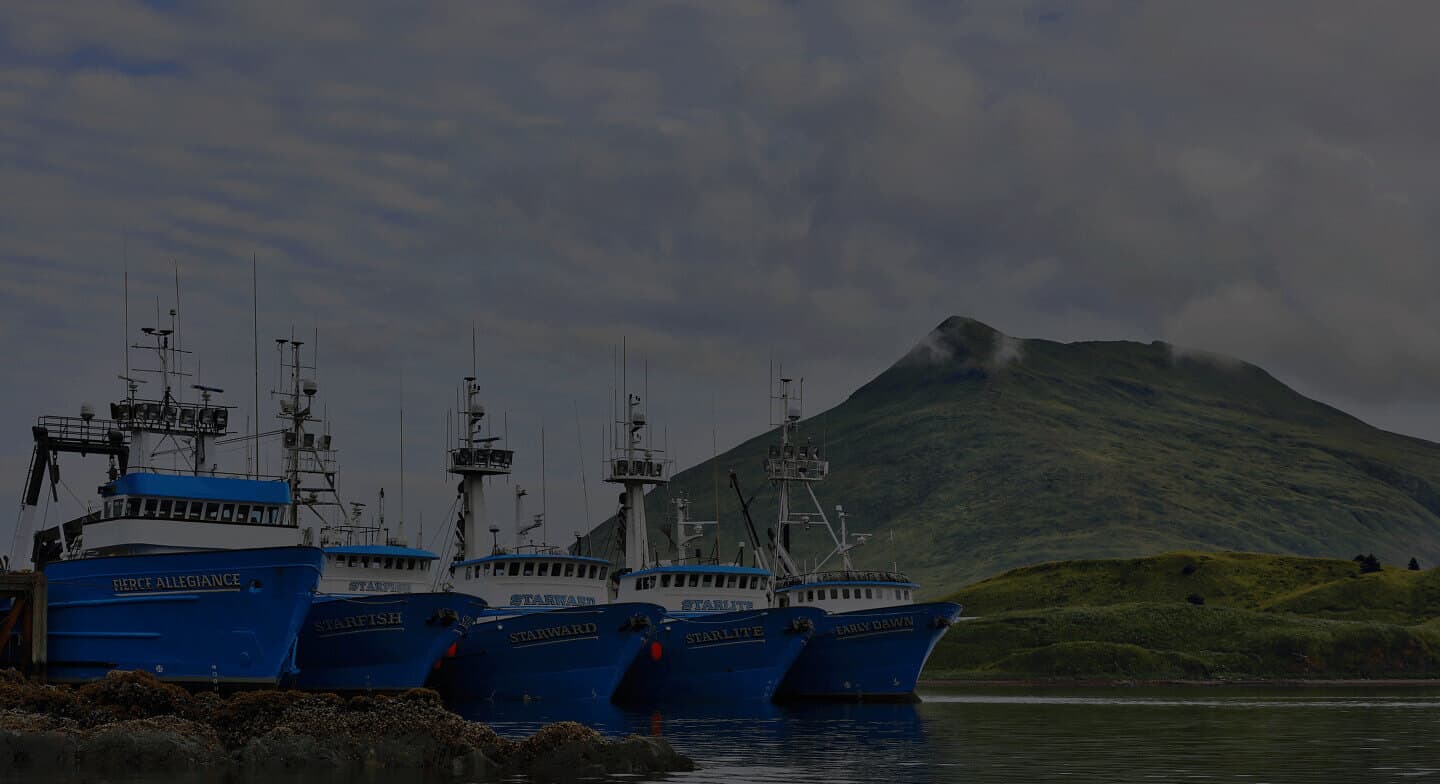 Hero image displayes fishing ships in Bering Sea